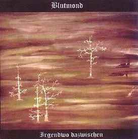 Irgendwo dazwischen cover