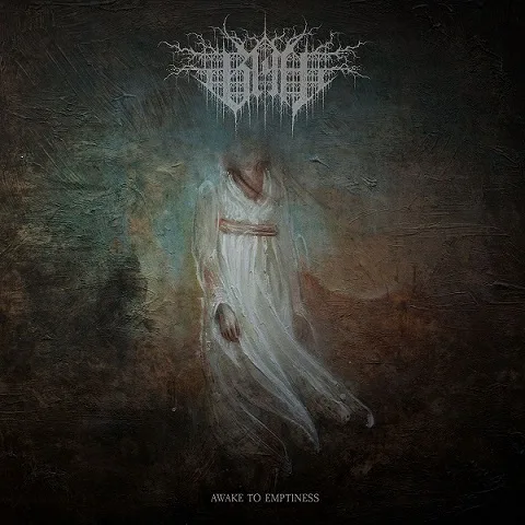 Awake to Emptiness cover