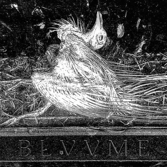 Blvvme cover