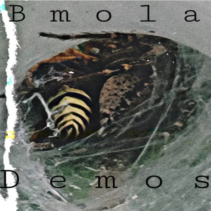 Demos cover