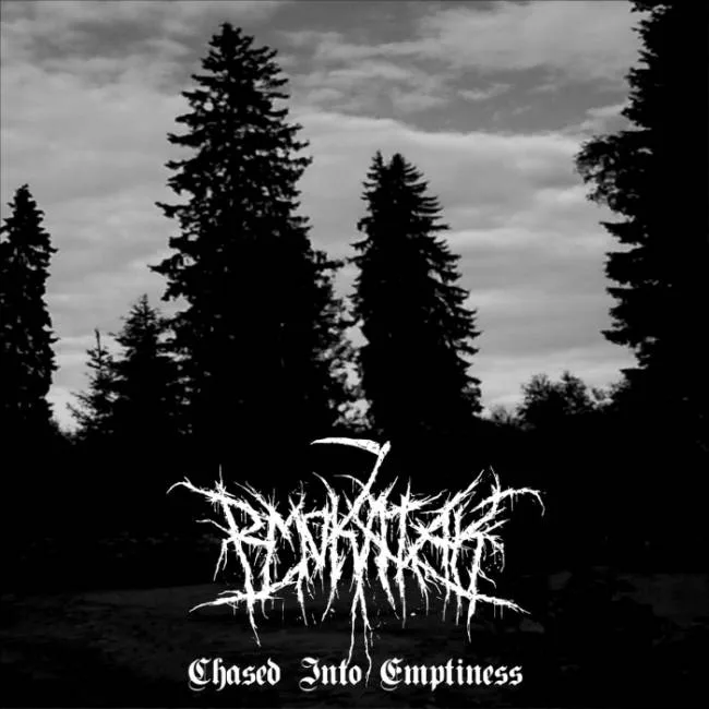 Chased into Emptiness cover