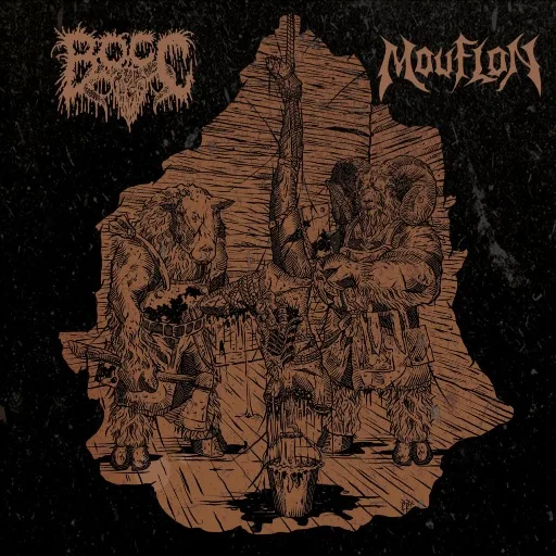 Bocc / Mouflon cover