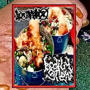 Human Blister / Flakka Fool cover