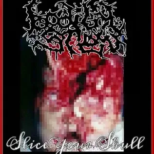 Slice Your Skull cover