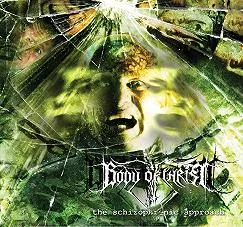 The Schizophrenic Approach cover