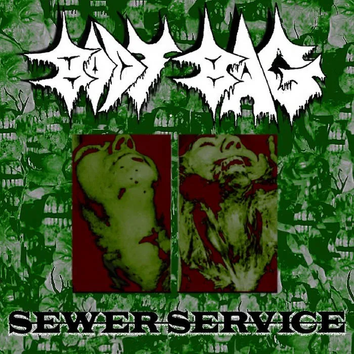Sewer Service cover