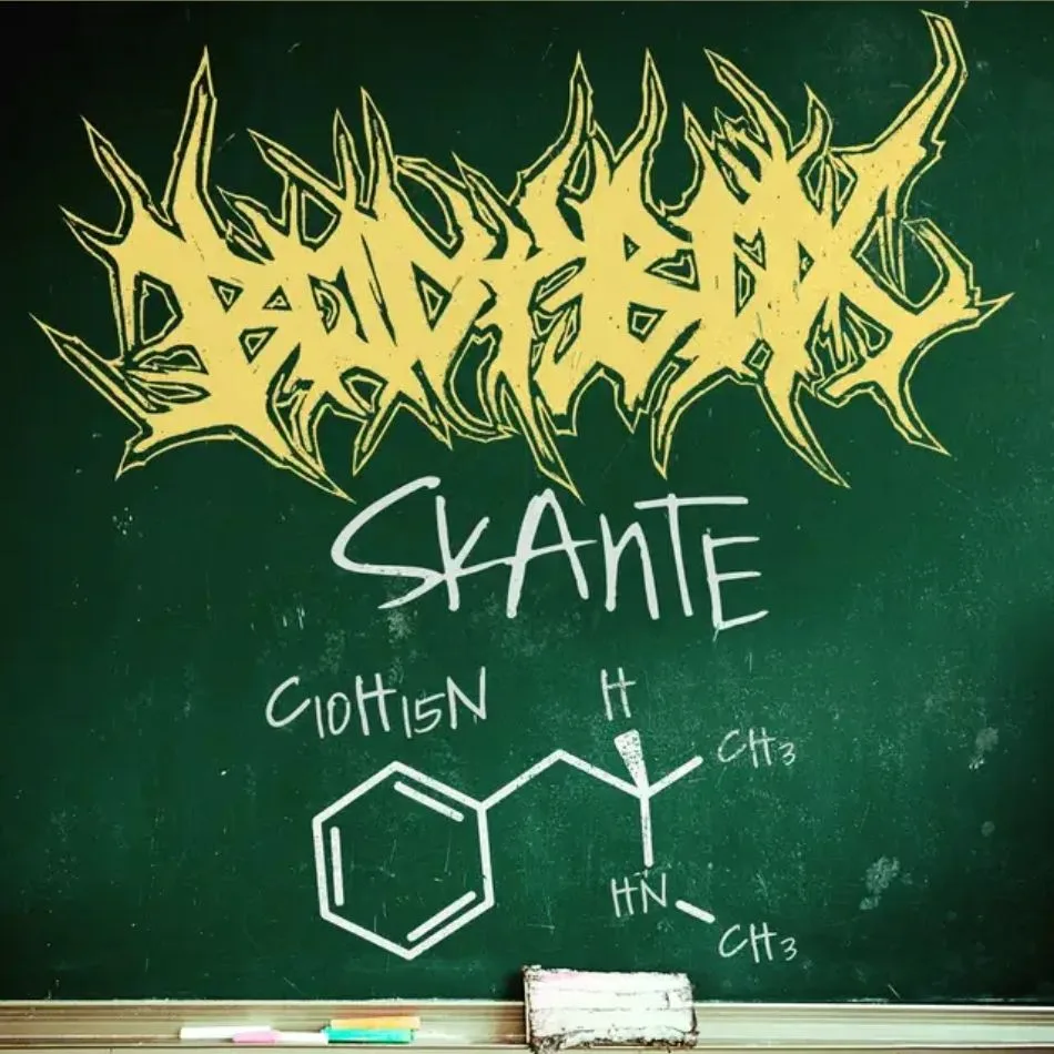 Skante cover