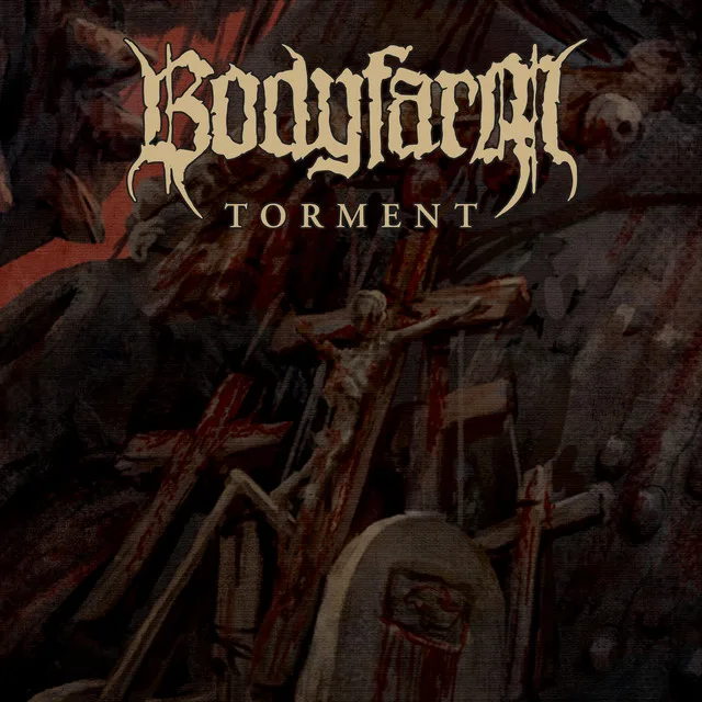 Torment cover