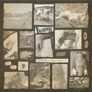 Disrotted / Bogrot cover