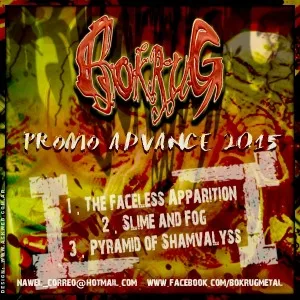 Promo Advance 2015 cover