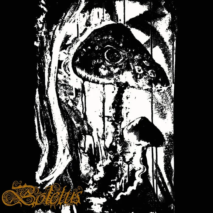 Boletus cover
