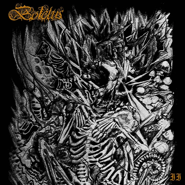 II cover