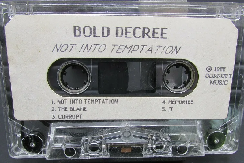 Not into Temptation cover