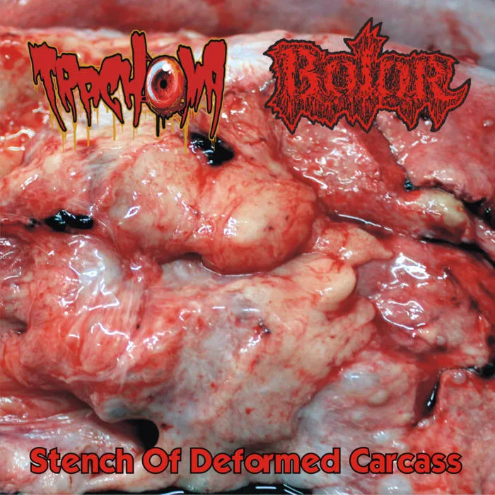Stench of Deformed Carcass cover