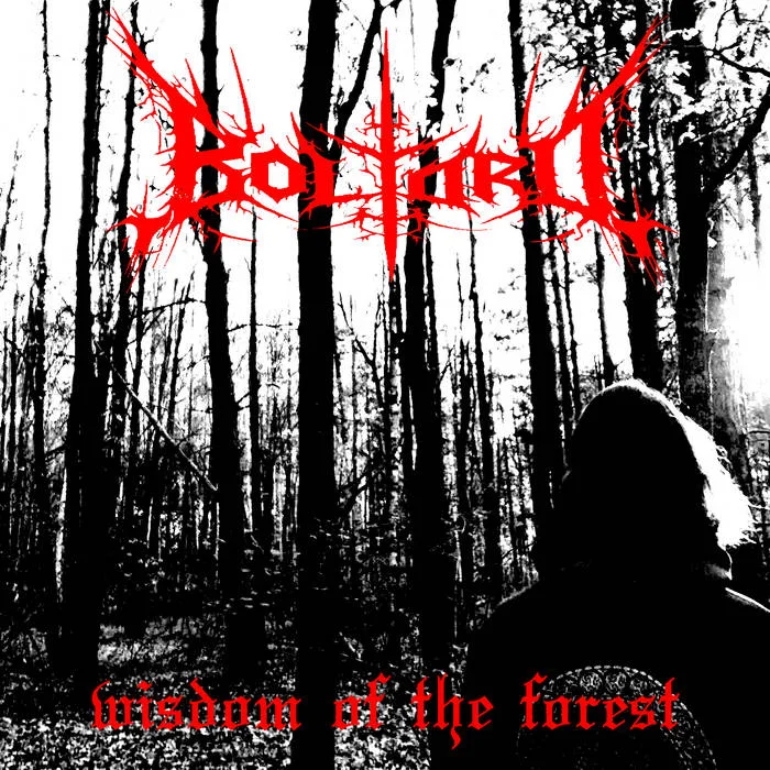 Wisdom of the Forest cover