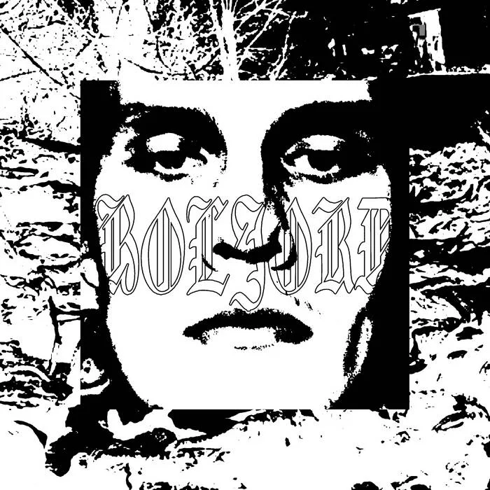 Boljord cover