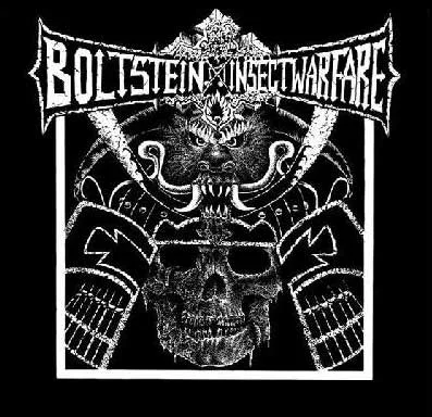 Bolt Stein / Insect Warfare cover