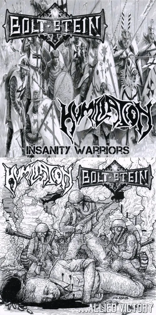 Insanity Warriors / ...Allied Victory cover