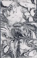 Promo 1995 cover