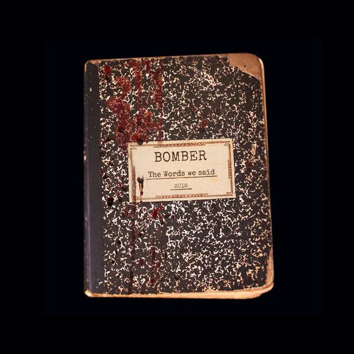 The Words We Said cover