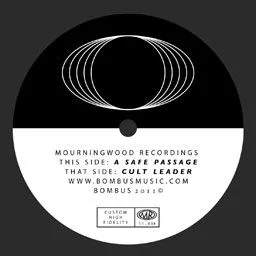 A Safe Passage / Cult Leader cover