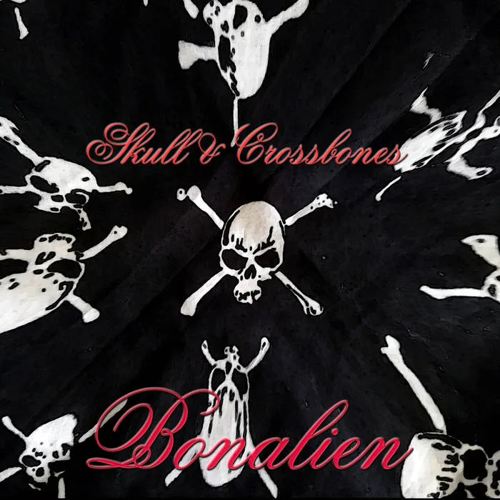 Skull and Crossbones cover