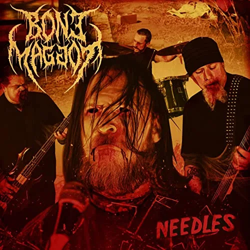 Needles cover