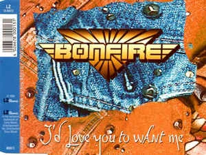 I'd Love You to Want Me cover