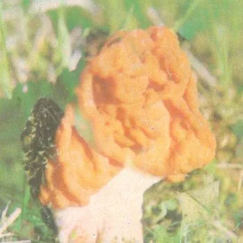 ...Yet Another Dose cover