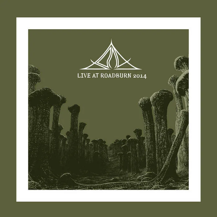 Live at Roadburn 2014 (Remastered) cover