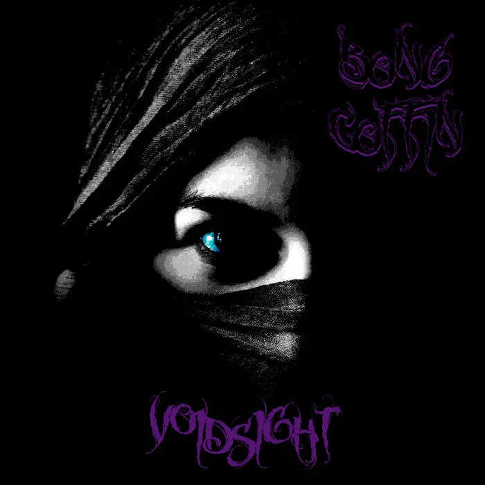 Voidsight cover