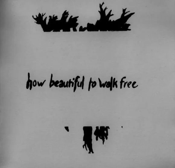 How Beautiful to Walk Free cover