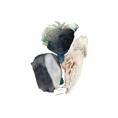 Destruction, Not Reformation cover