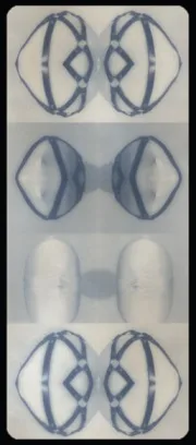 Book of Sand / The Skin Horse cover