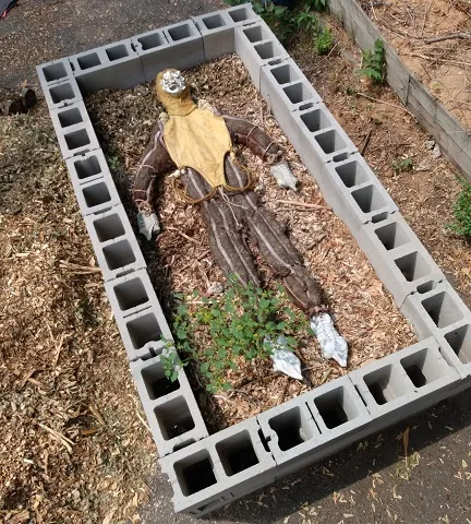 Seven Candles for an Empty Altar cover