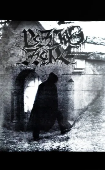 Roan's Fury Amid Shimmering Tides cover