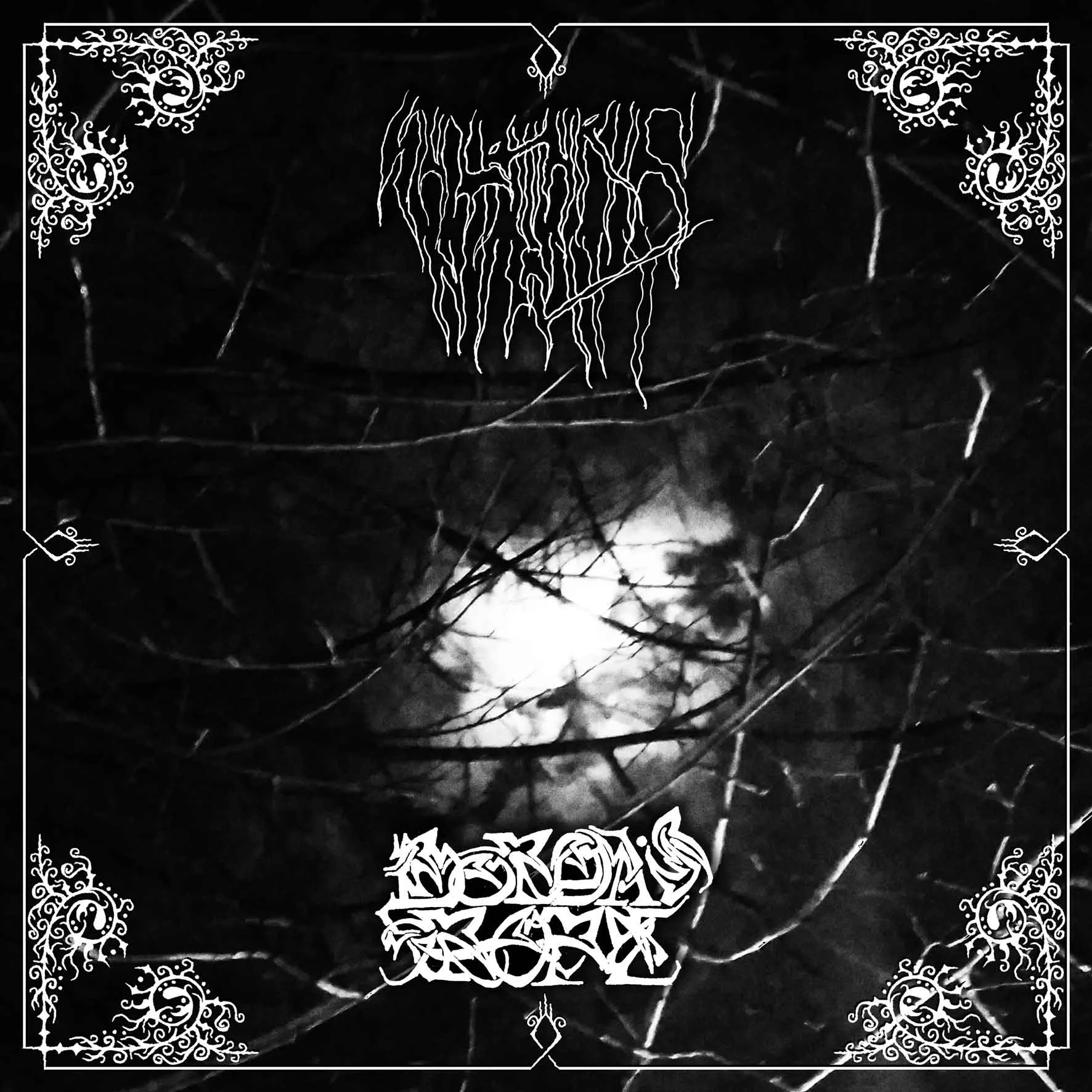 Sulphuric Night / Borda's Rope cover