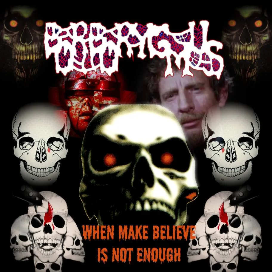 When Make Believe Is Not Enough cover