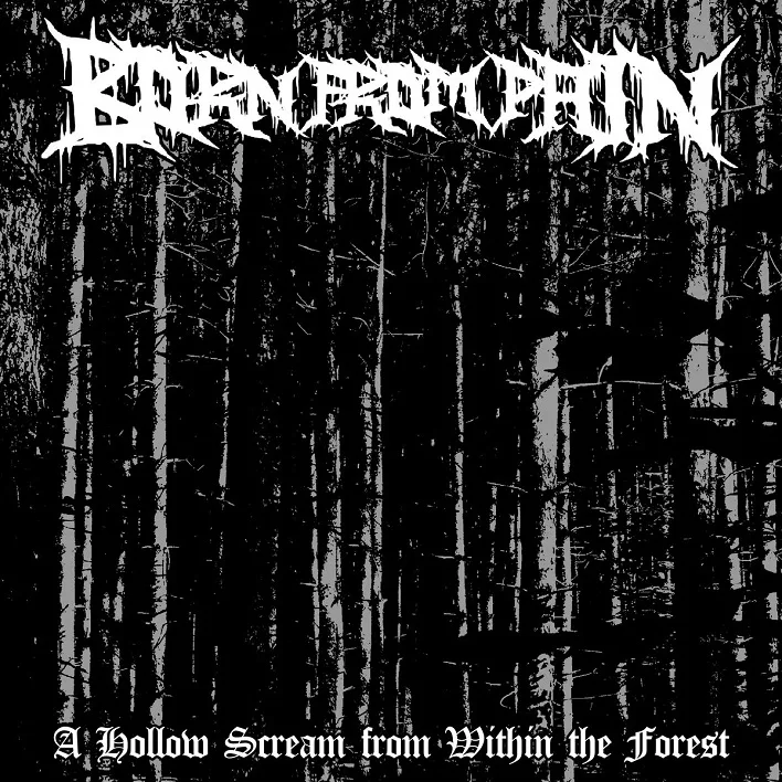 A Hollow Scream from Within the Forest cover