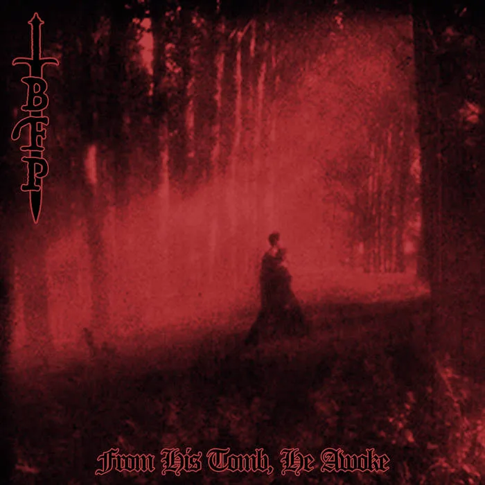 From His Tomb, He Awoke cover