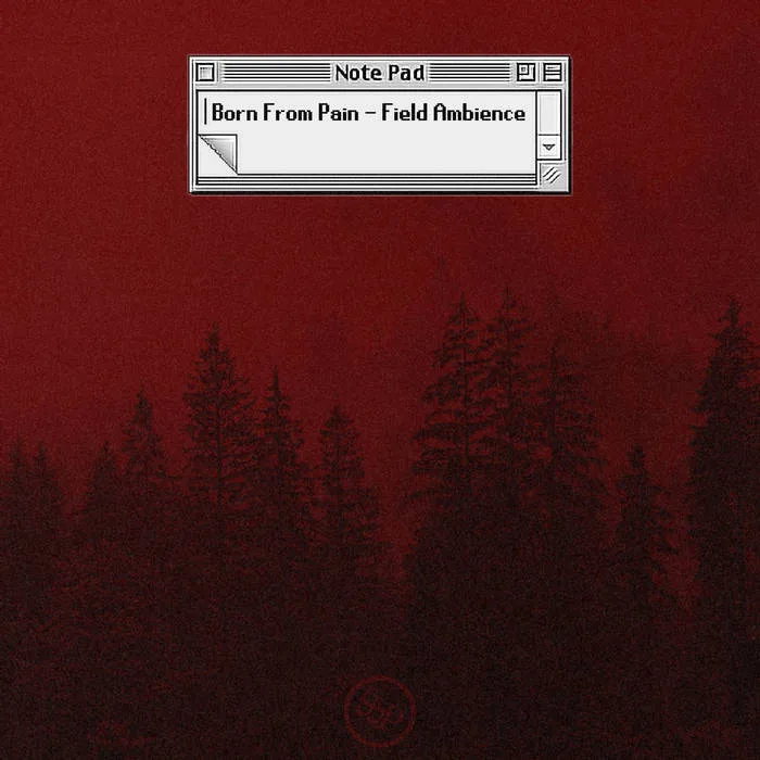 Field Ambience cover