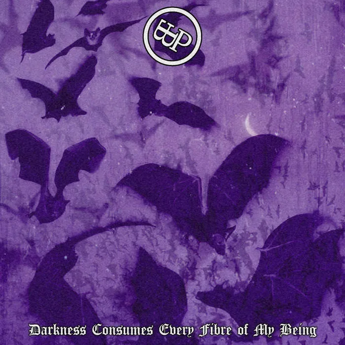 Darkness Consumes Every Fibre of My Being cover