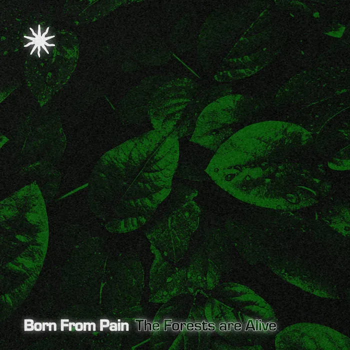 The Forests Are Alive cover