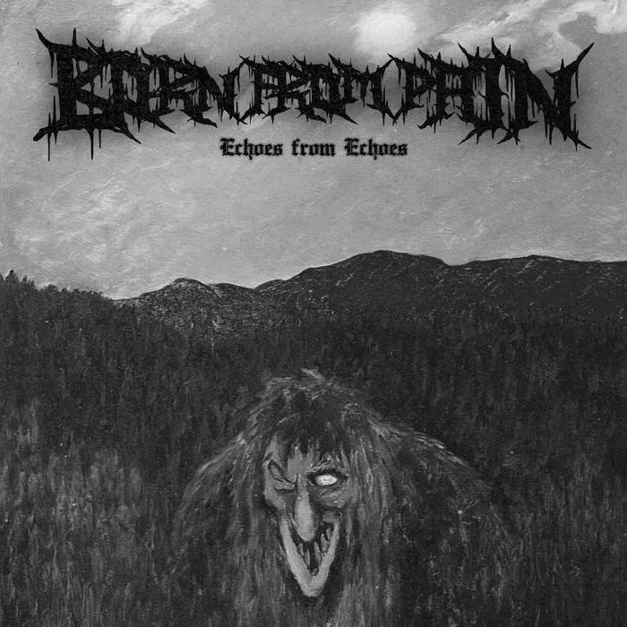 Echoes from Echoes cover