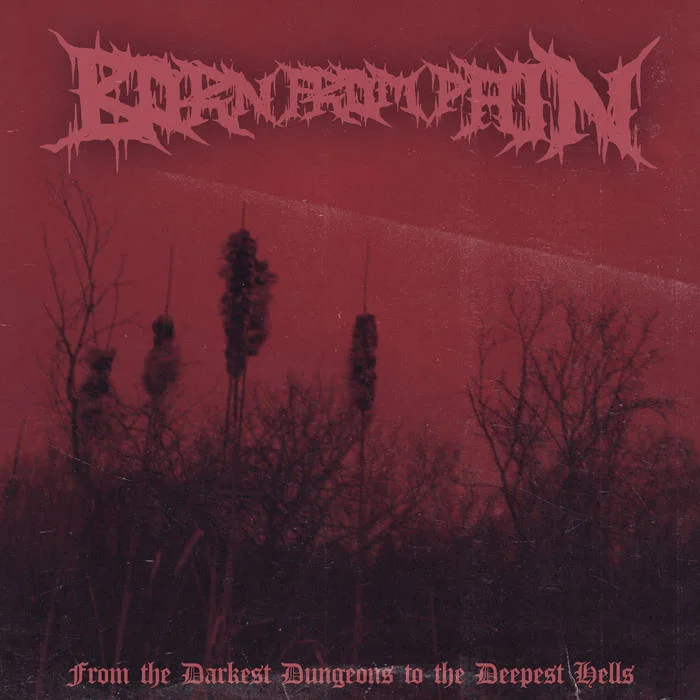 From the Darkest Dungeons to the Deepest Hells cover