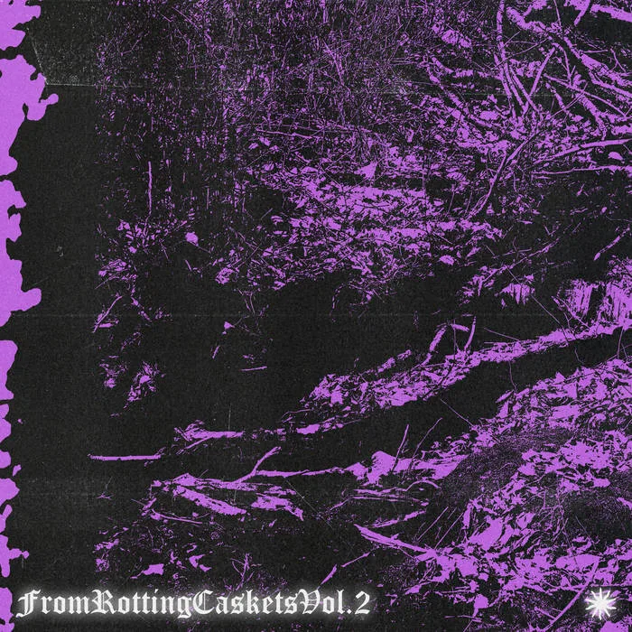 From Rotting Caskets Vol. 2 cover