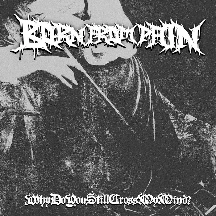 WhyDoYouStillCrossMyMind? (Surrenderdorothy Cover) cover