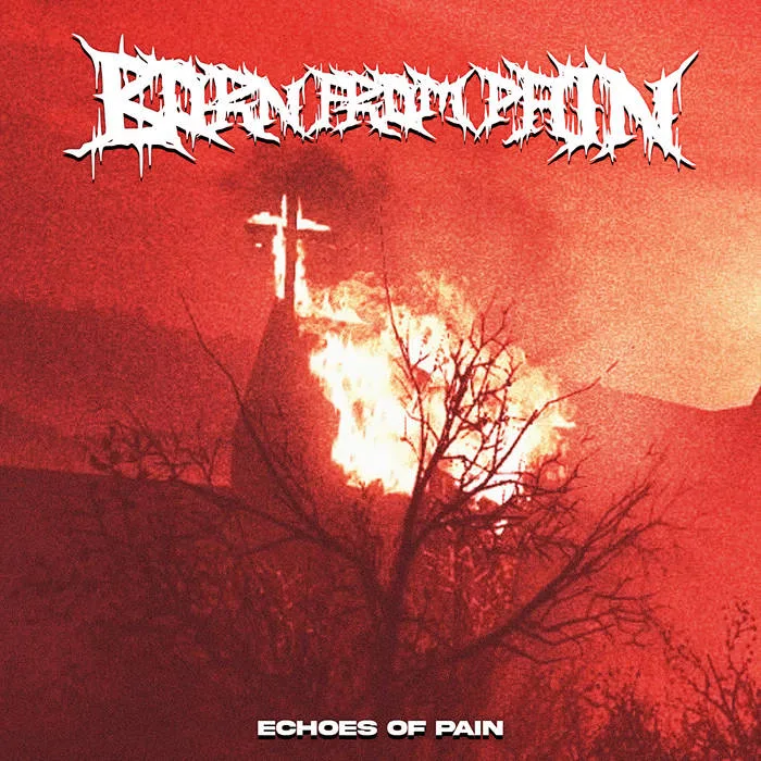 Echoes of Pain cover