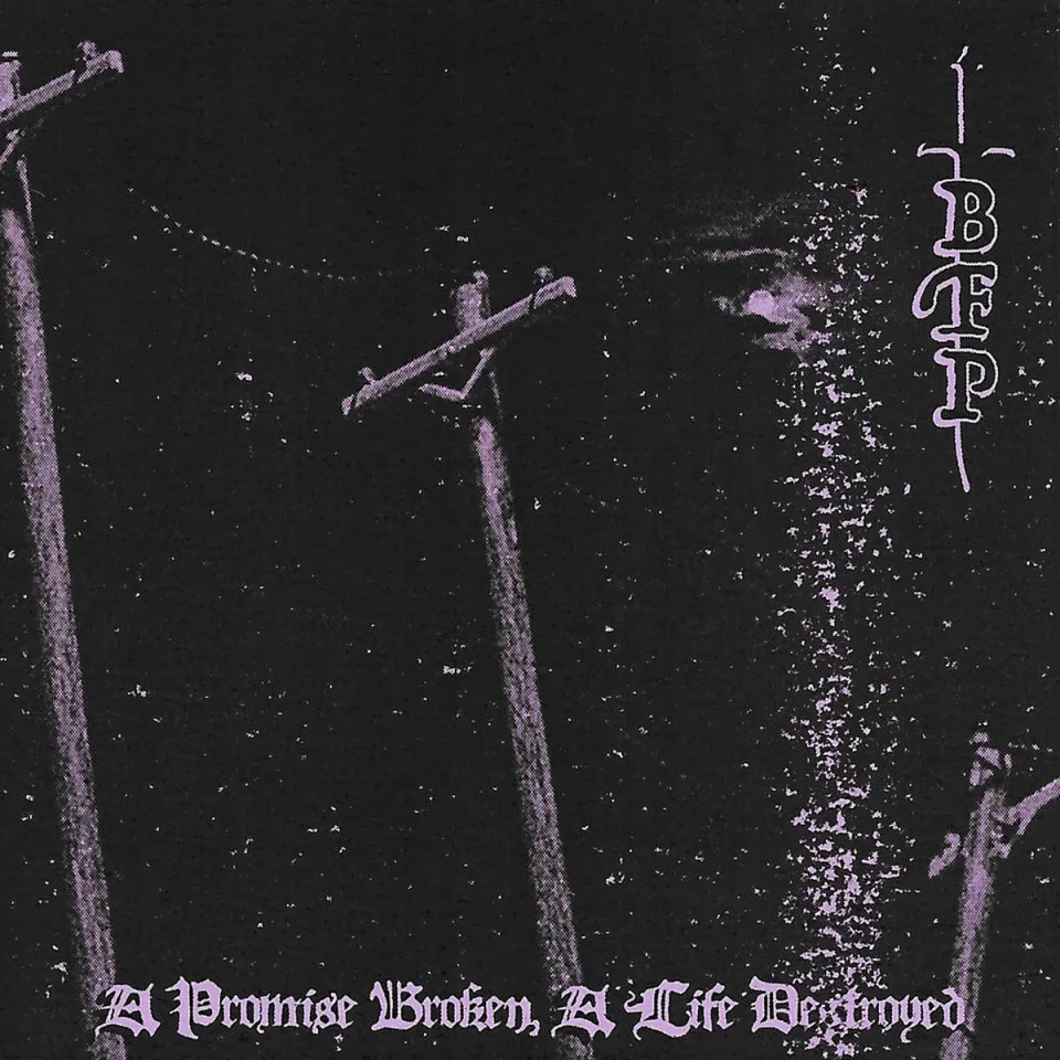 A Promise Broken, a Life Destroyed cover