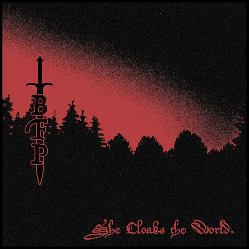 She Cloaks the World. cover